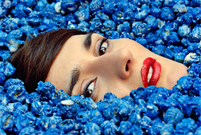 Enter to win Complètement Fou from Yelle!